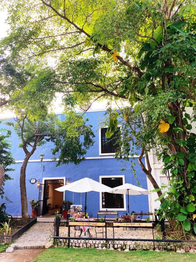 Luna Nueva Hotel-Boutique Merida Exterior photo